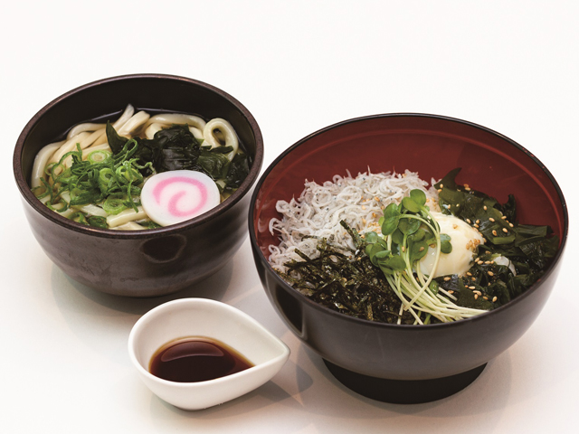 淡路産釜揚げしらす丼とミニ讃岐うどんセット/淡路島南PA【上り】